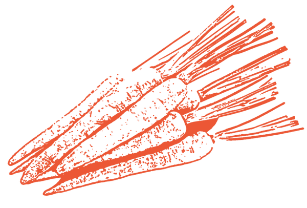 Image of Carrot Powder