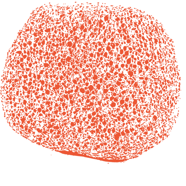 Image of Pumice Stone