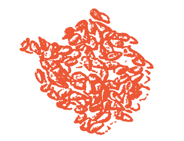 Image of Black Sesame