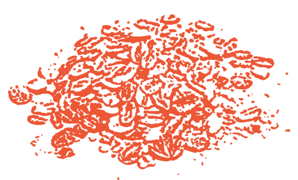 Image of Colloidal Oatmeal