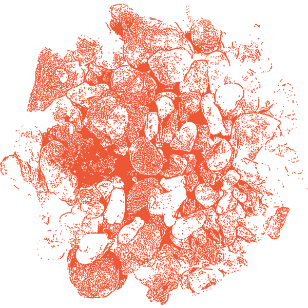 Image of Frankincense