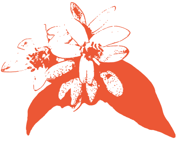 Image of Neroli