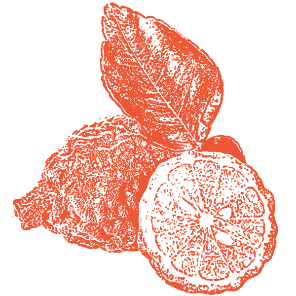 Image of Bergamot