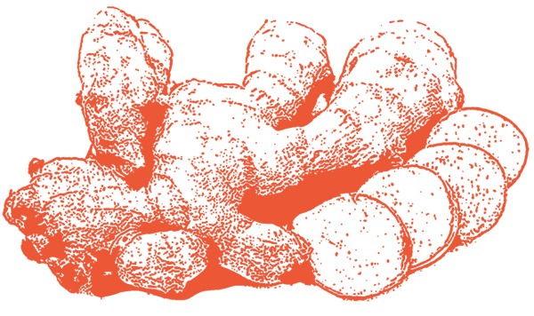 Image of Ginger