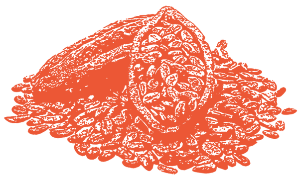 Image of Cocoa Butter