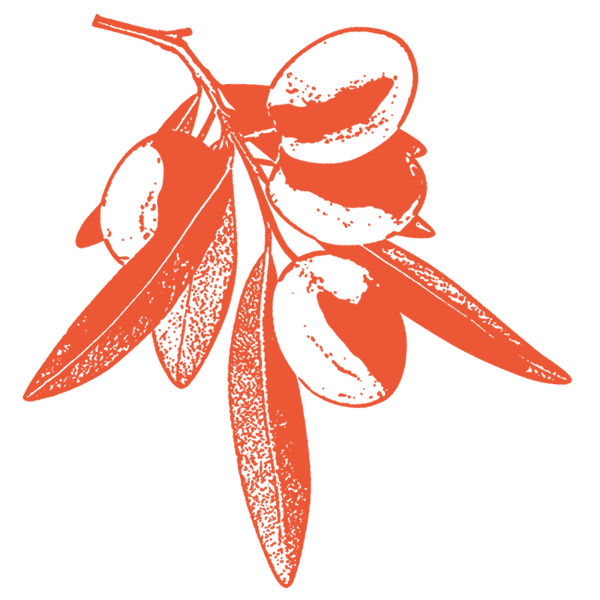 Image of Olive Oil