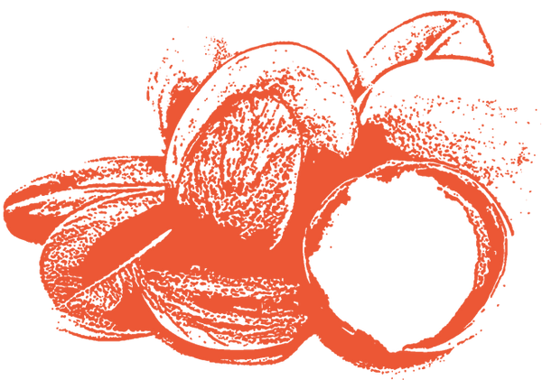 Image of Shea Butter